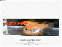 Tablet Screenshot of medakano.ina-ka.com
